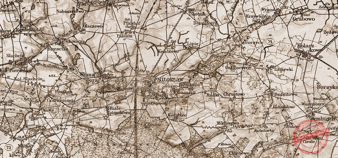 Miłosław i okolice