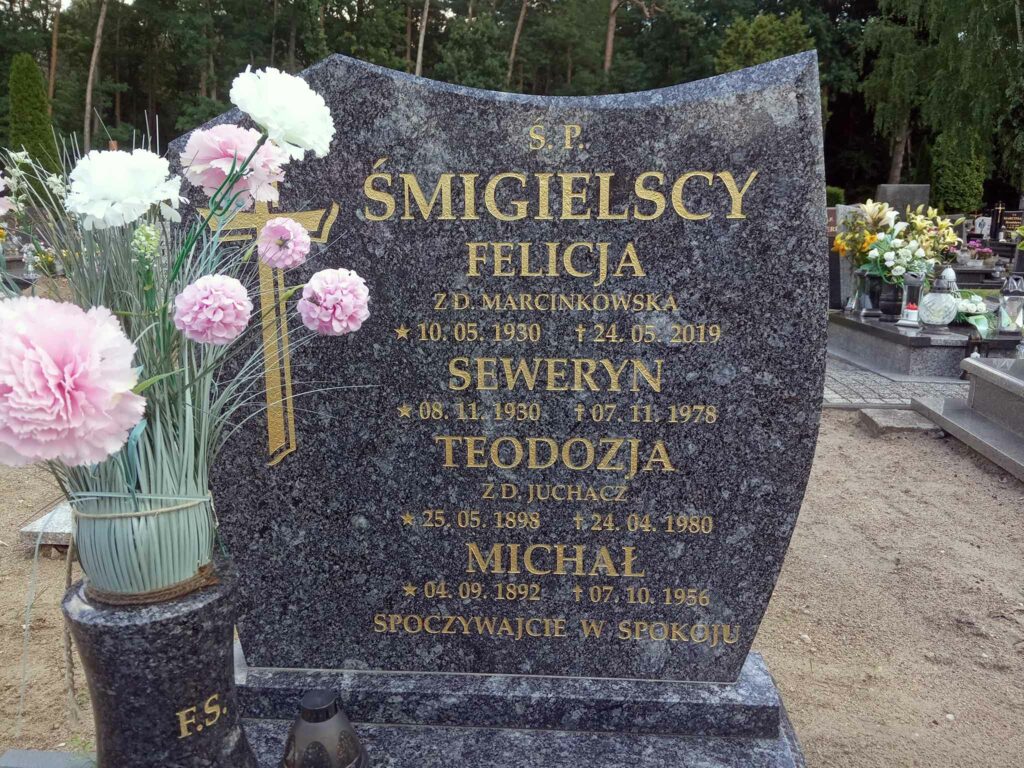 Michał Śmigielski  - 
 cmentarz komunalny we Wrześni (zdjęcie udostępnił Remigiusz Maćkowiak)