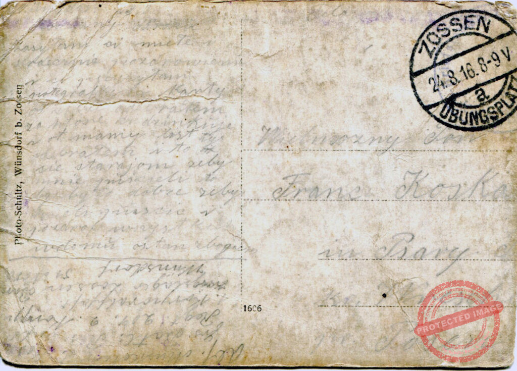 Misiak Sylwester - zdjęcie udostępniła Danuta Chrzanowska