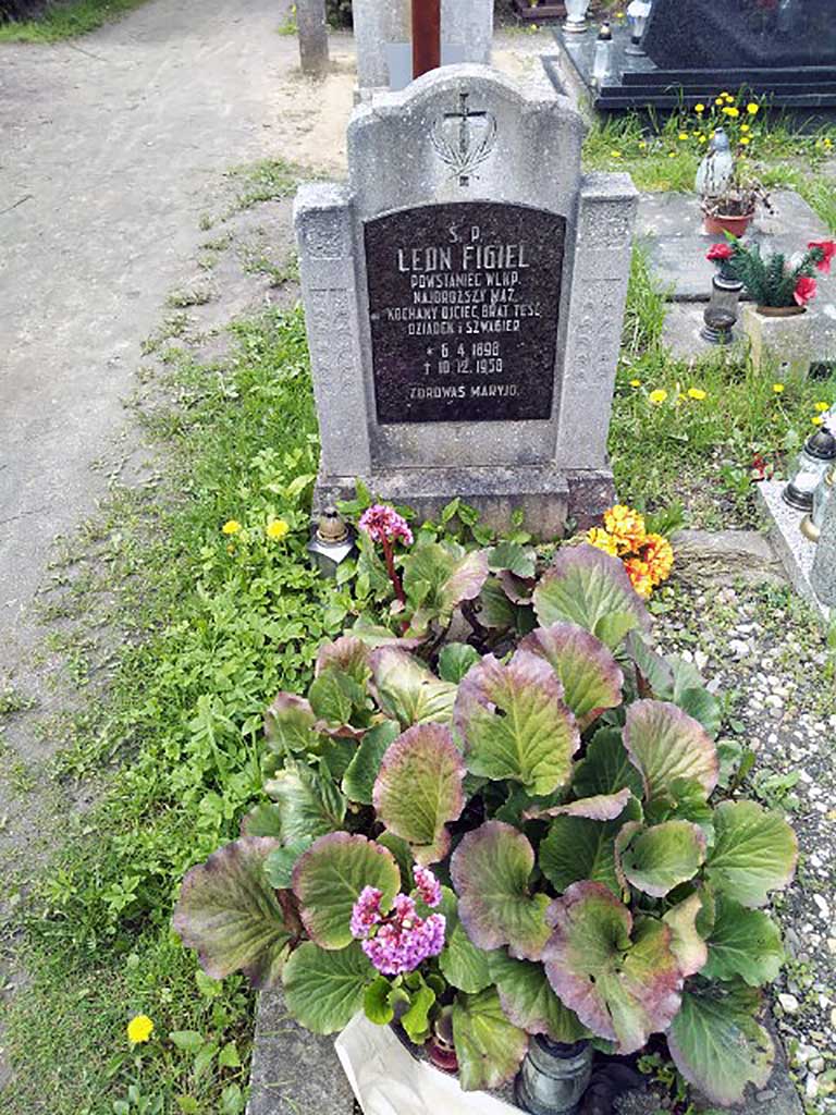 Leon Figiel - cmentarz parafialny w Poznaniu  przy ul. Bluszczowej (zdjęcie udostępnił Rafał Ratajczak)