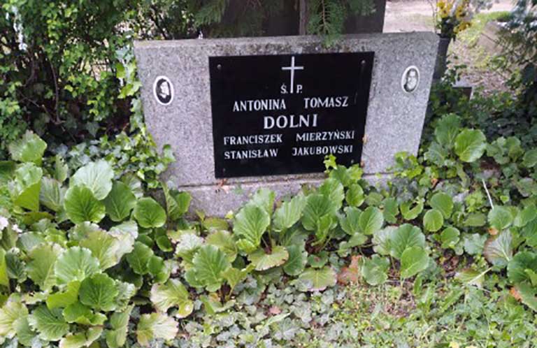 Tomasz Dolny - cmentarz na Junikowie w Poznaniu (zdjęcie udostępnił Rafał Ratajczak)