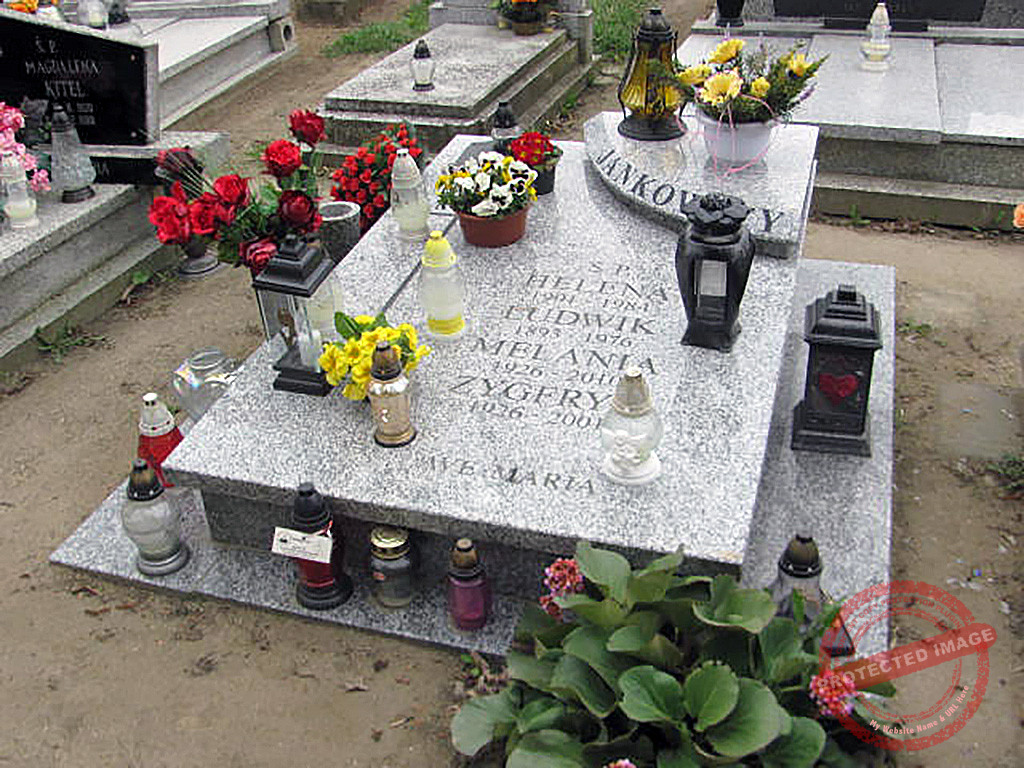 Ludwik Jankowski - cmentarz w Trzemesznie